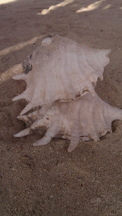 Ohne Worte Riviera Aqua Park Resort