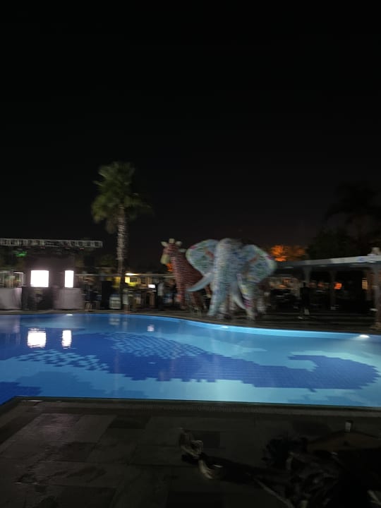 Pool Calimera Serra Palace