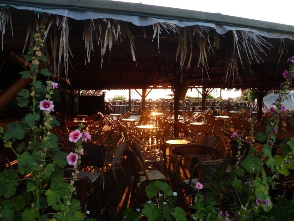 Safari Bar Hotel Kalithea Horizon Royal