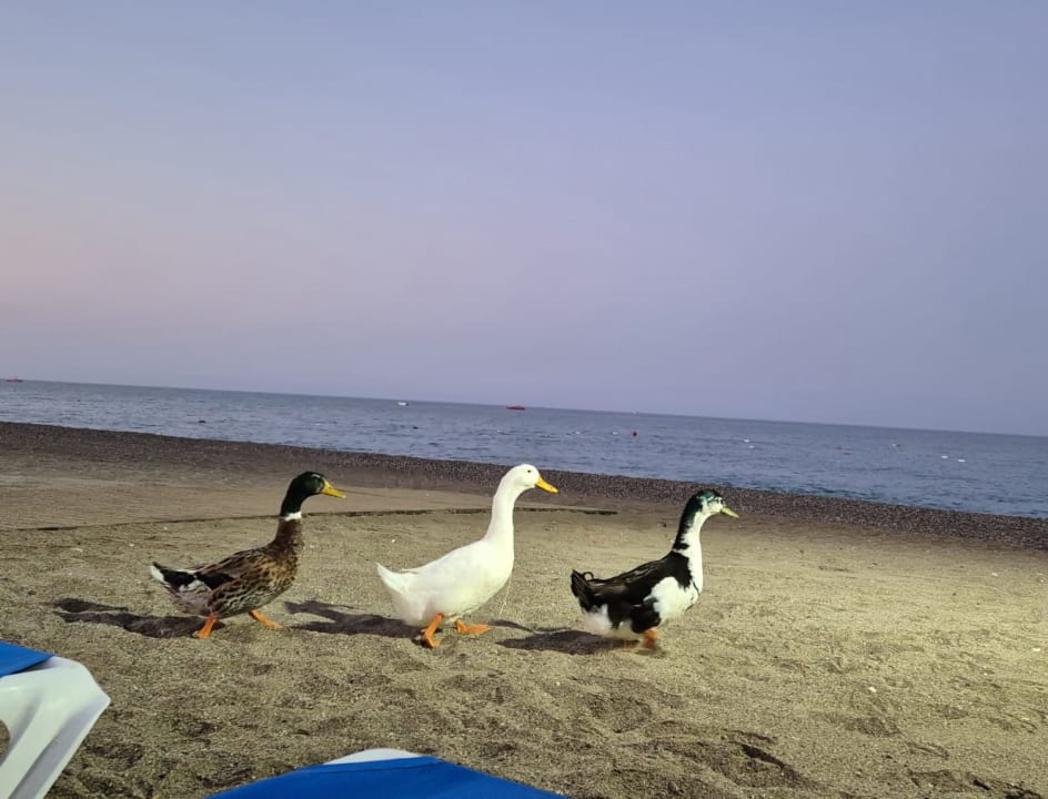 Strand Starlight Resort Hotel