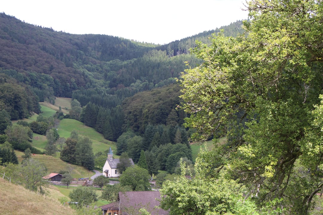 Ausblick Hotel Landgasthof Zum Pflug