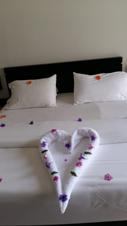 Ein Trinkgeld sollte schon drin sein  Reef Oasis Beach Resort