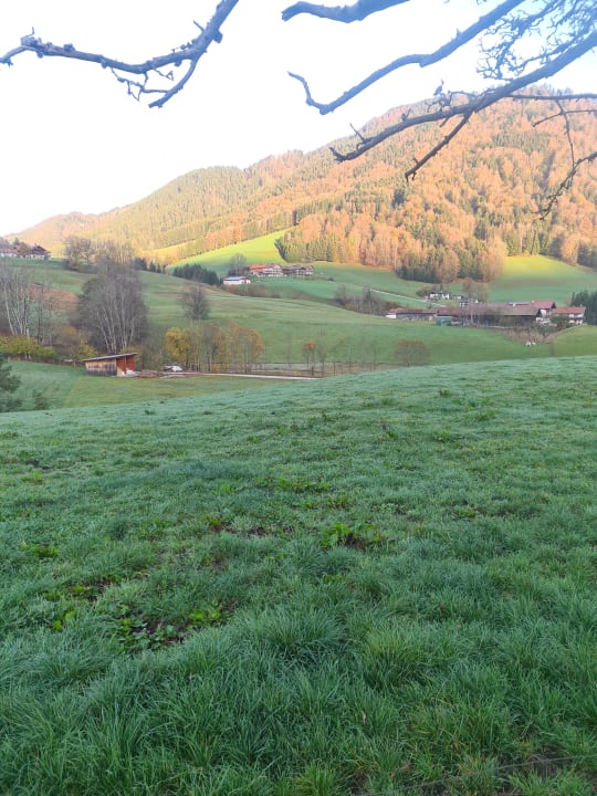 Ausblick Landhotel Maiergschwendt