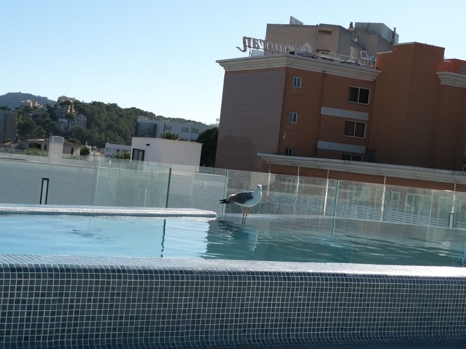 Pool Hotel Morlans Suites