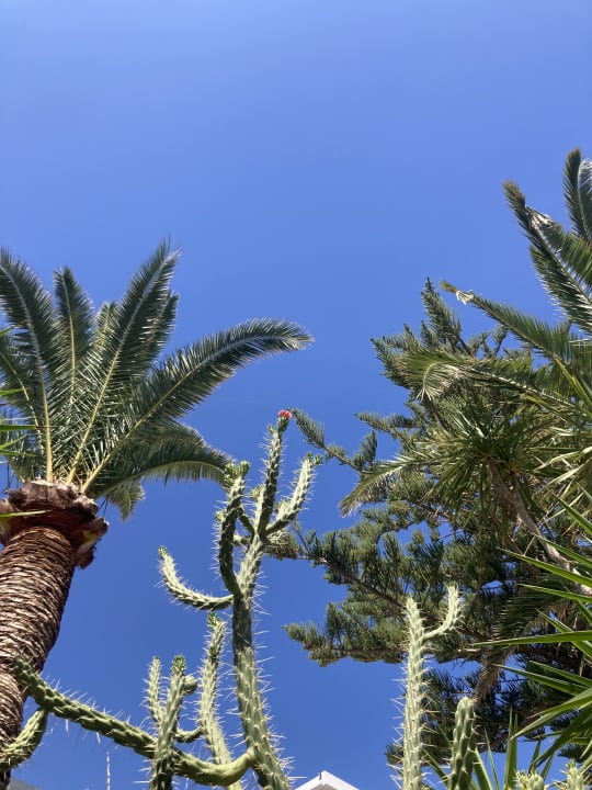 Gartenanlage HARPIN Happy Days Beach Hotel