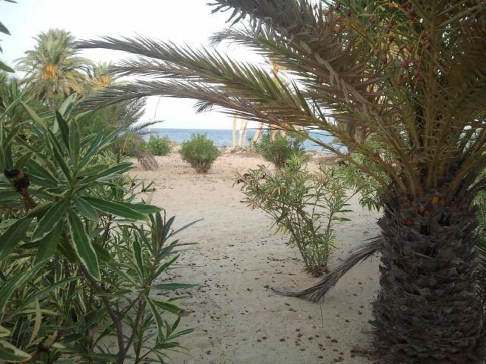 Hotellandschaft Hotel El Mouradi Djerba Menzel