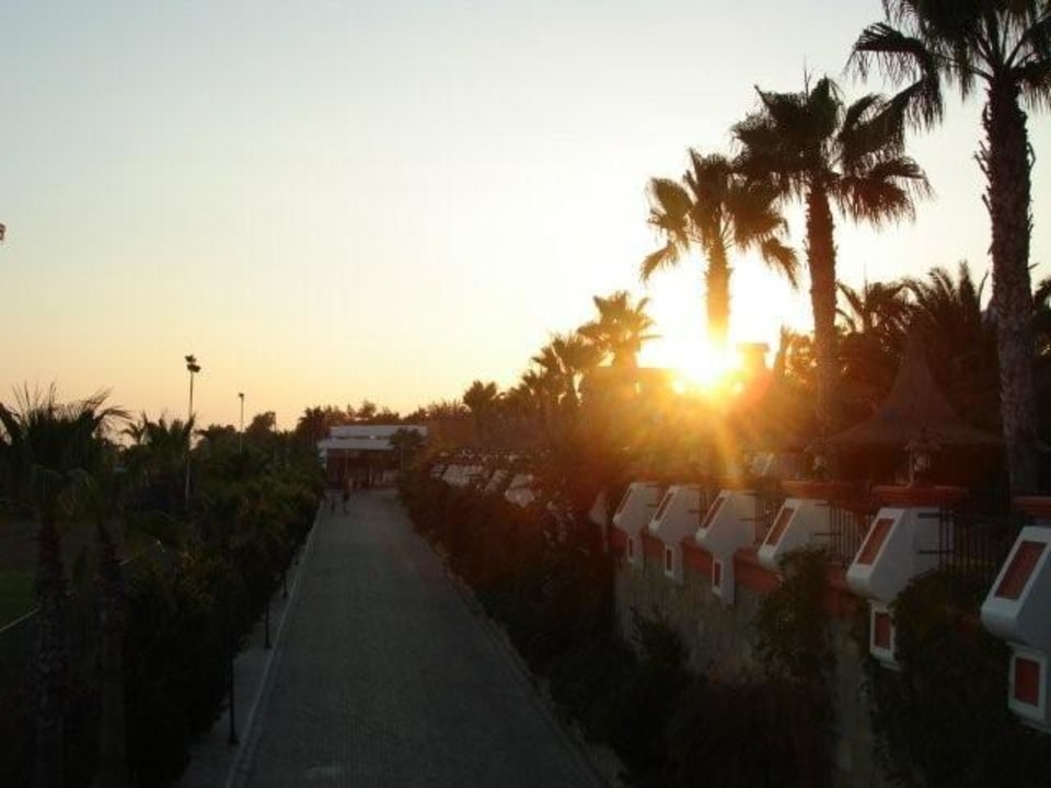 Zufahrtsstraße zum Fulya und Selin Kamelya Fulya Hotel