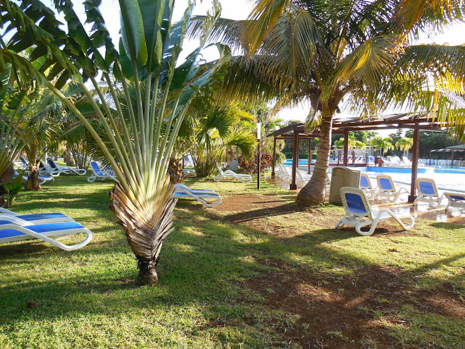 Garten rund um den Pool Blau varadero - Adults only