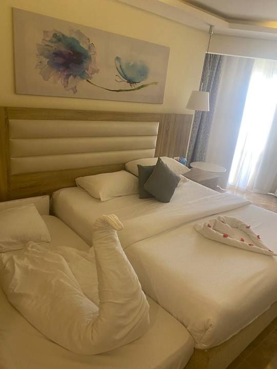 Zimmer Beach Albatros Resort