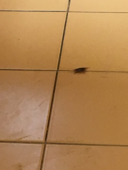 Zimmer SBH Costa Calma Beach Resort