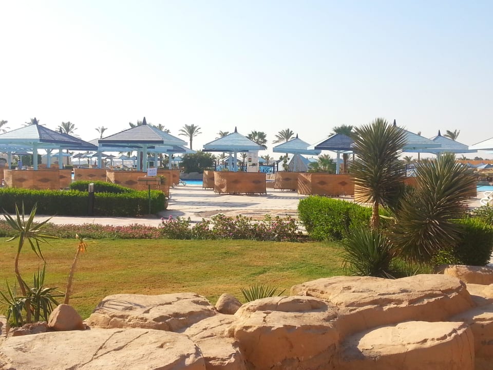 Pool Loungers SUNRISE Royal Makadi Resort