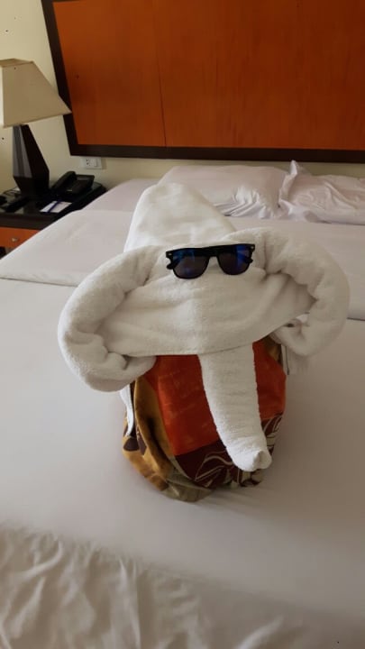 Zimmer AMC Royal Hotel & SPA