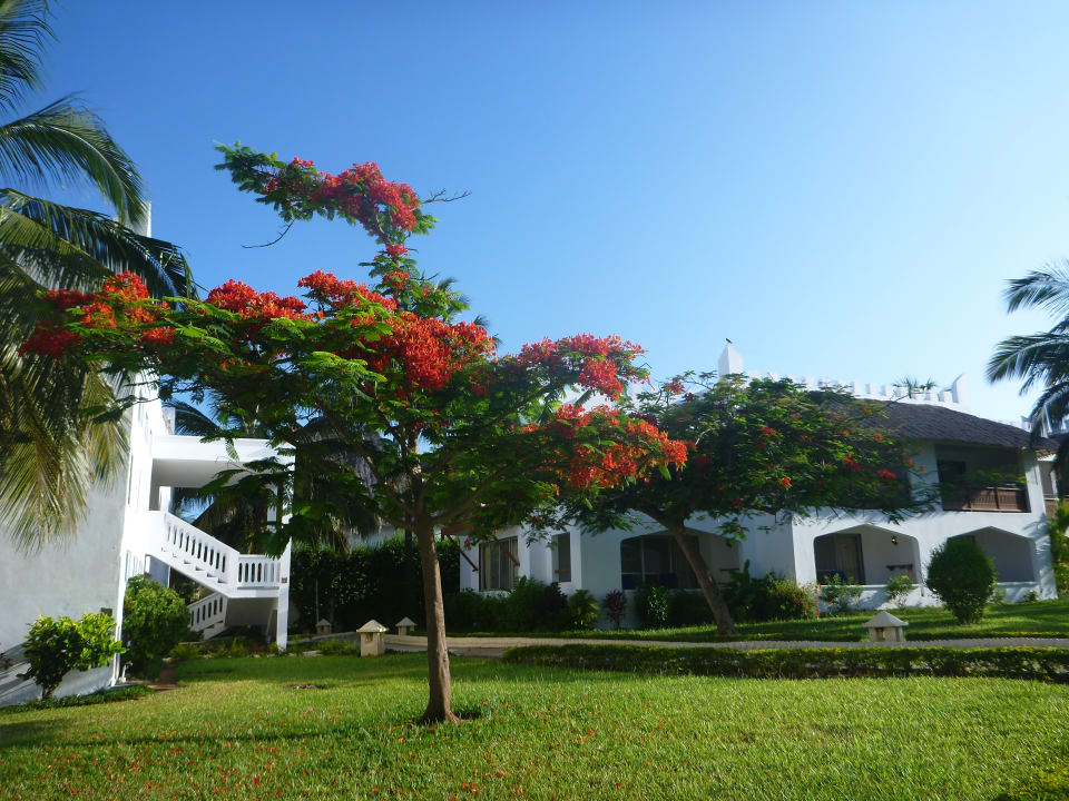 Gartenanlage Royal Zanzibar Beach Resort