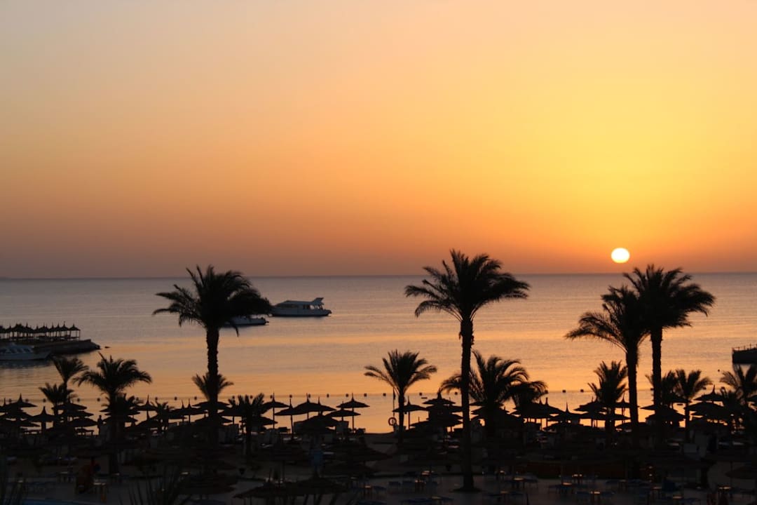 Ausblick Beach Albatros Resort