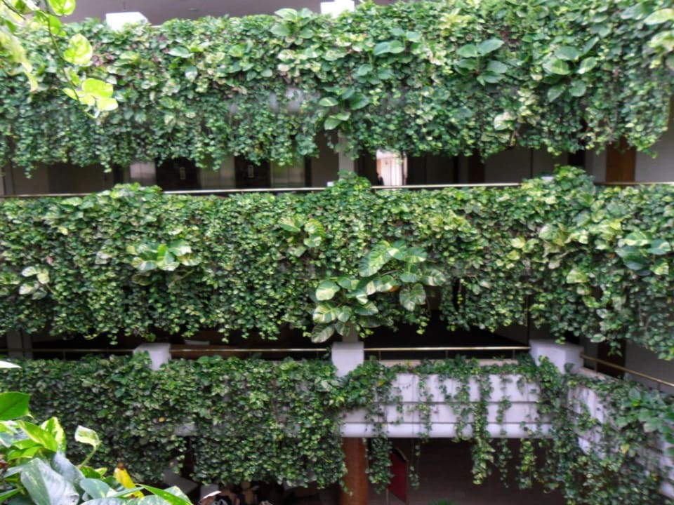 Im Hotel Alexandre Hotel Gala