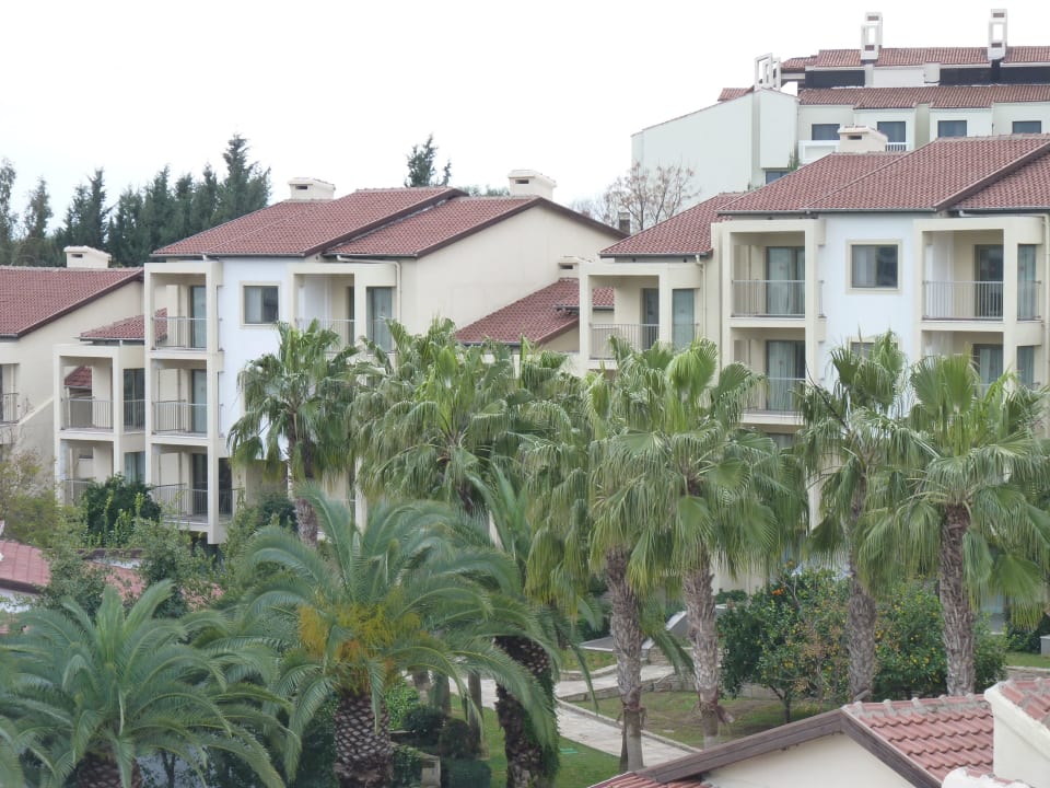 Appartments Arum Barut Collection