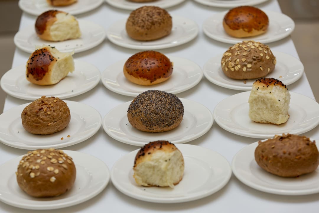 Gastro Lonicera Premium - Ultra All Inclusive