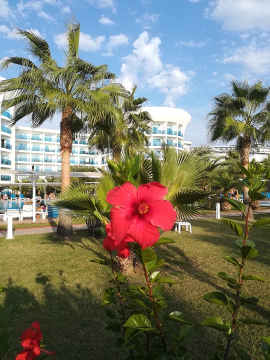 Außenansicht Sultan of Dreams Hotel & Spa