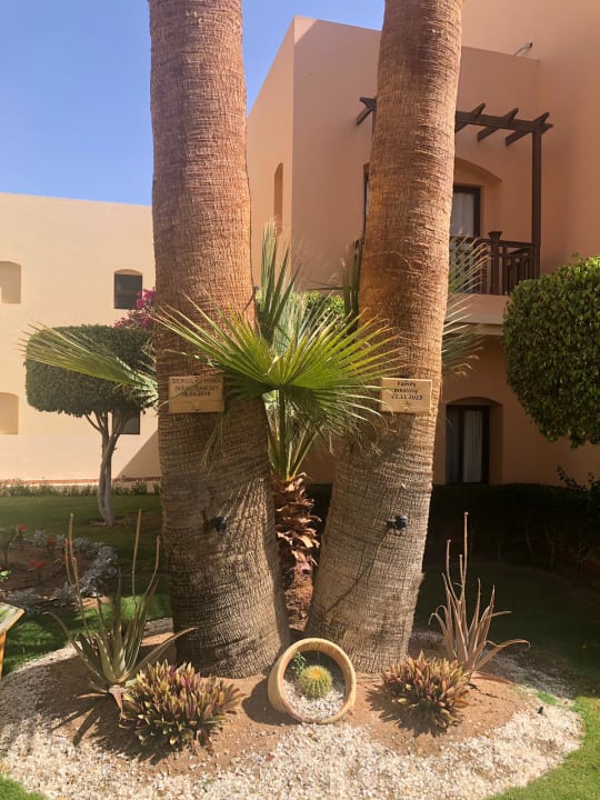 Gartenanlage Jaz Makadi Saraya Resort