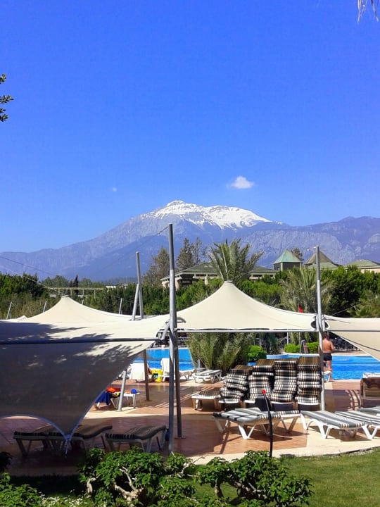 Территория Viking Park