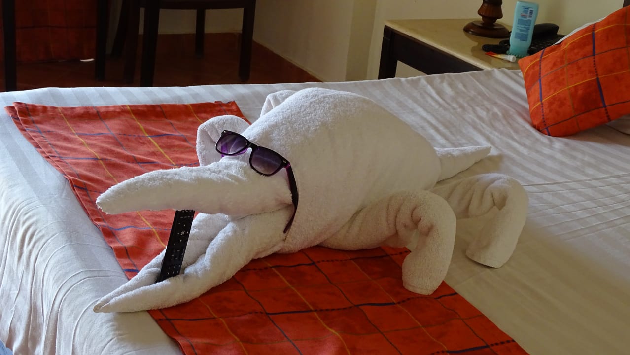 Zimmer Three Corners Sea Beach Resort