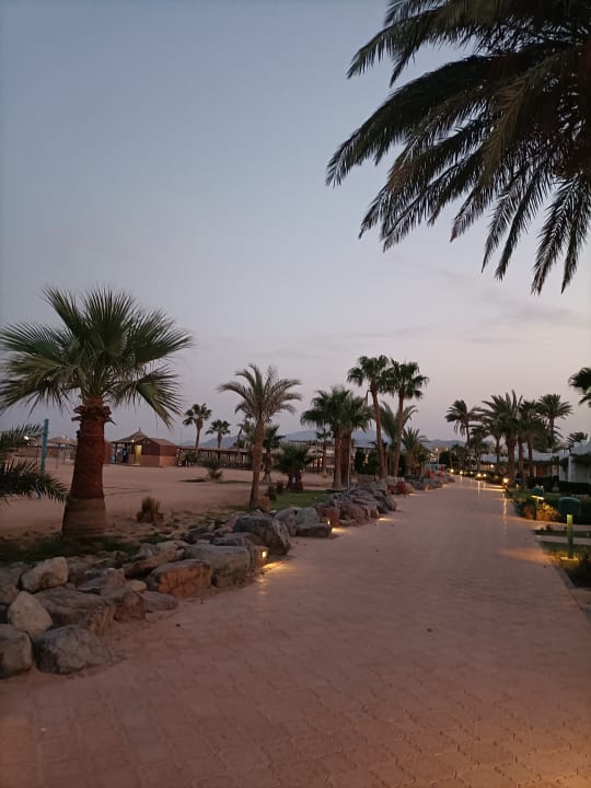 Gartenanlage Shams Safaga Resort
