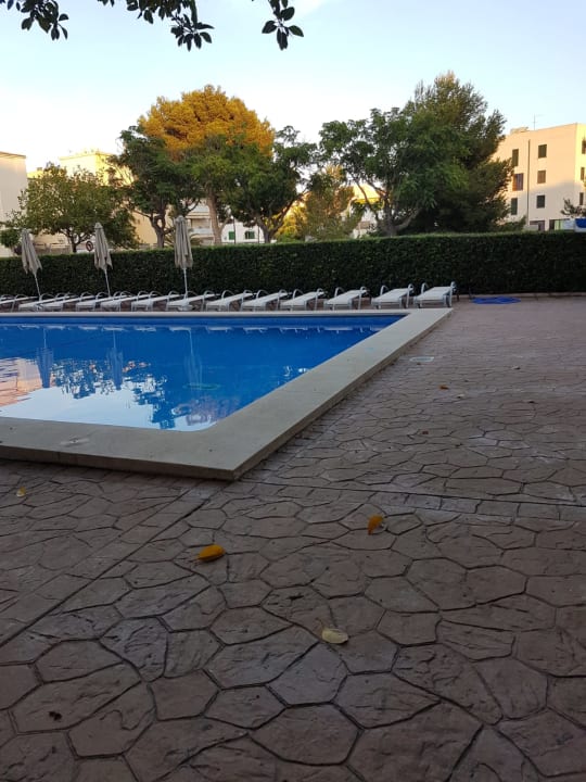 Pool THB Dos Playas - Adults only