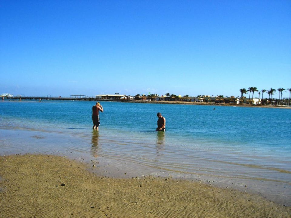 Männersache Pickalbatros Dana Beach Resort - Hurghada