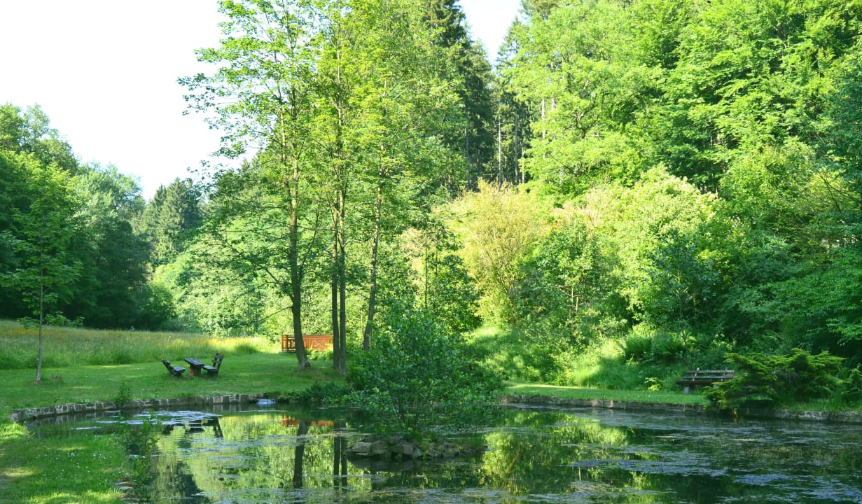 Gassbachtaler Teich Natur & Wander Hotel Gassbachtal