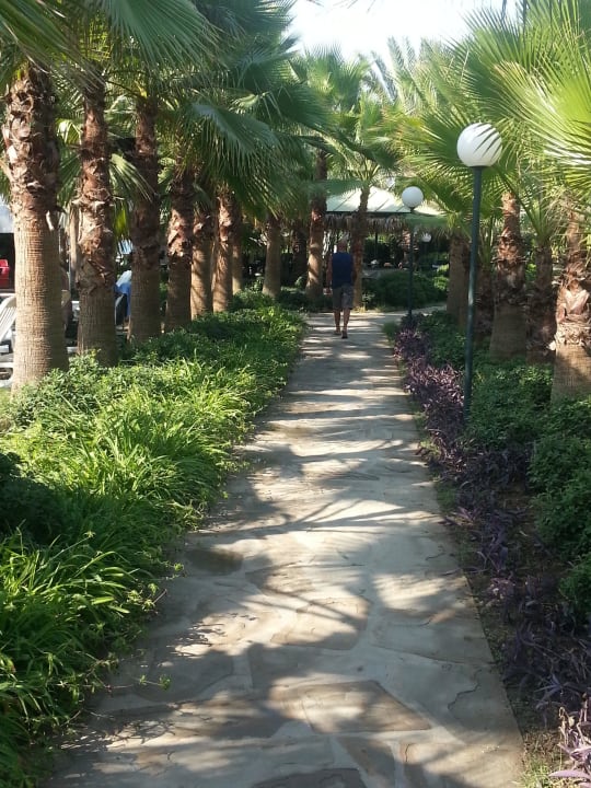 Tropischer Garten direkt am Strand Hotel Yetkin