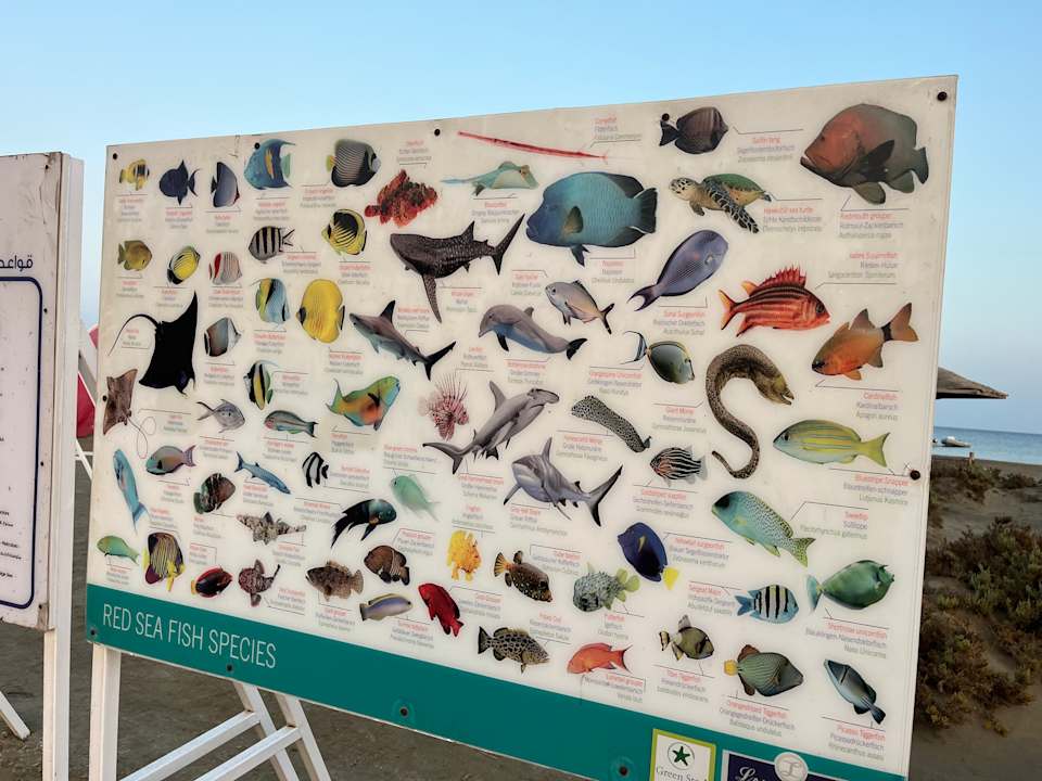 Strand Lahami Bay Beach Resort