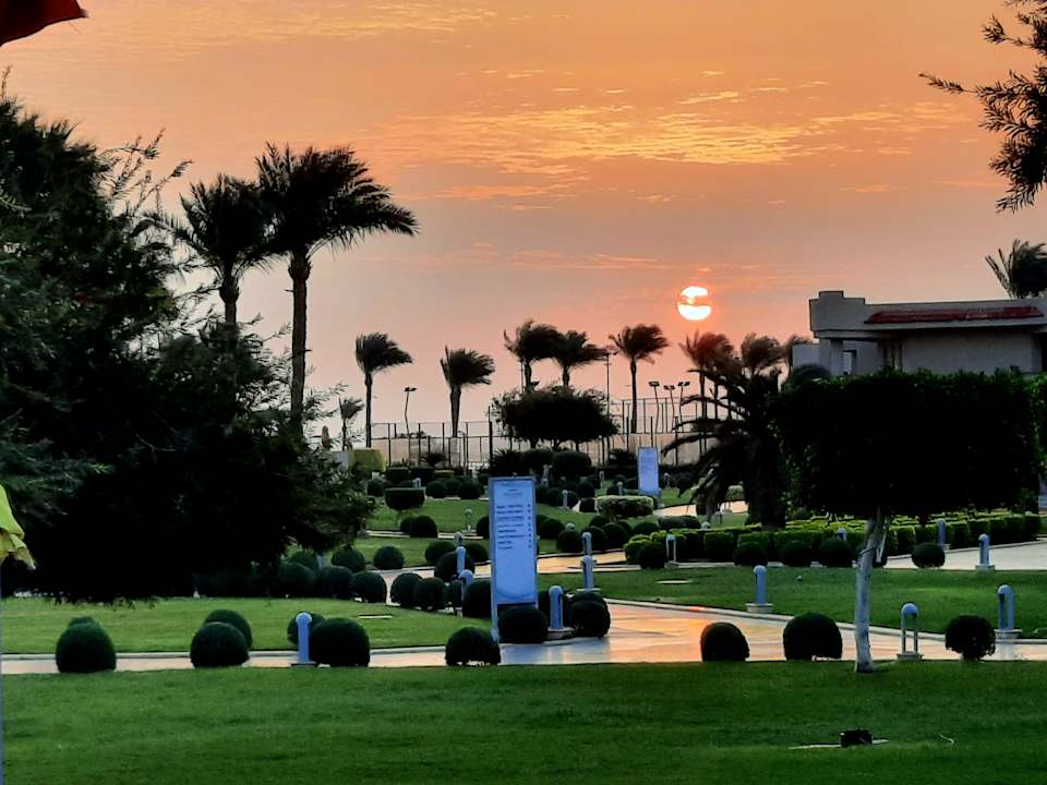 Gartenanlage Pickalbatros Royal Moderna Resort-Sharm El Sheikh