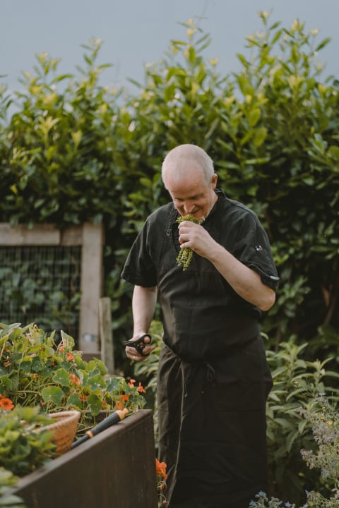 Gartenanlage Hotel Lisetta