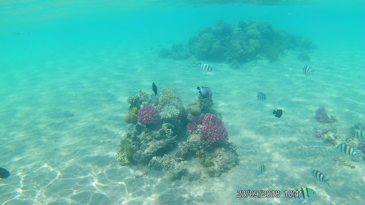 Sport & Freizeit Menaville Safaga