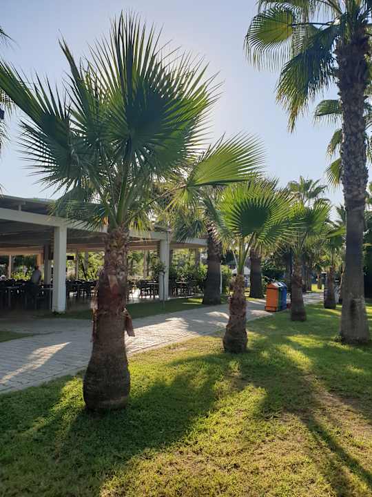 Außenansicht Sultan of Dreams Hotel & Spa