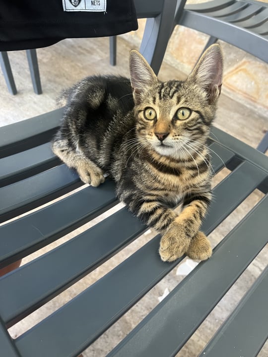 Sonstiges Hotel Gardenia Beach