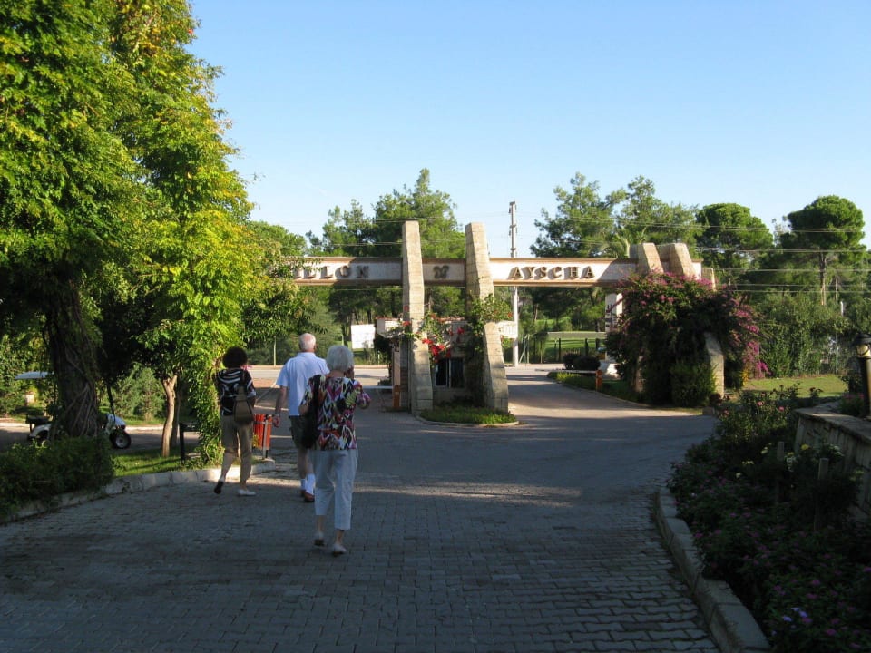 Zum Hotel am Eingang Papillon Ayscha