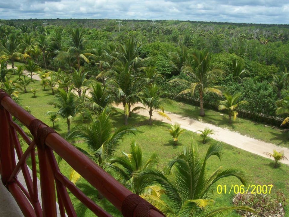 Dschungel vor dem Hotel Akumal Bay Beach & Wellness Resort
