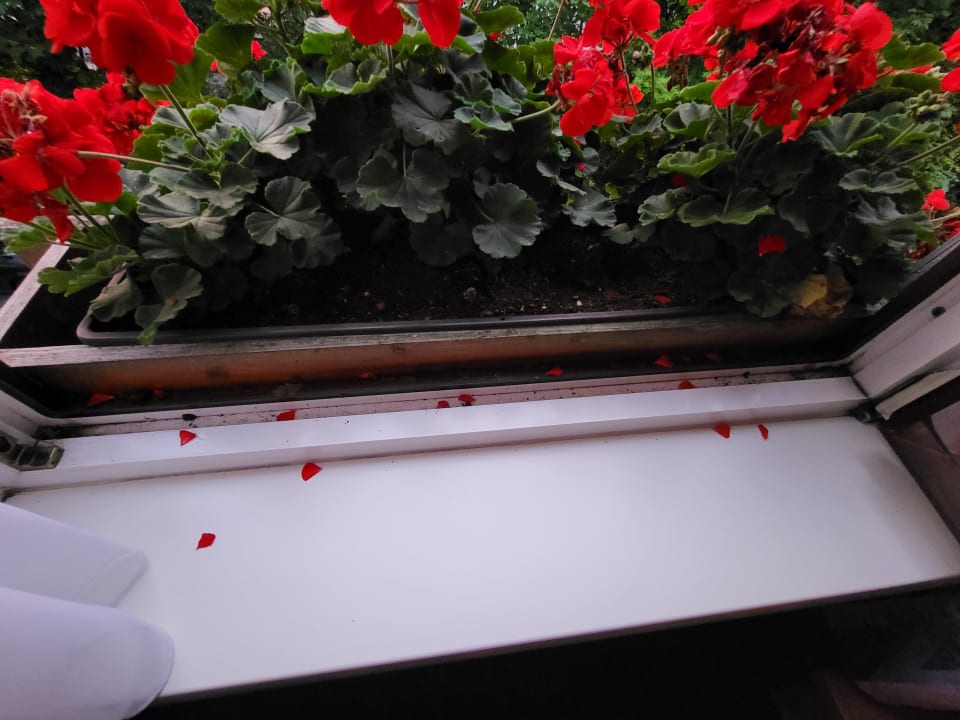 Zimmer Hotel Zum Stern