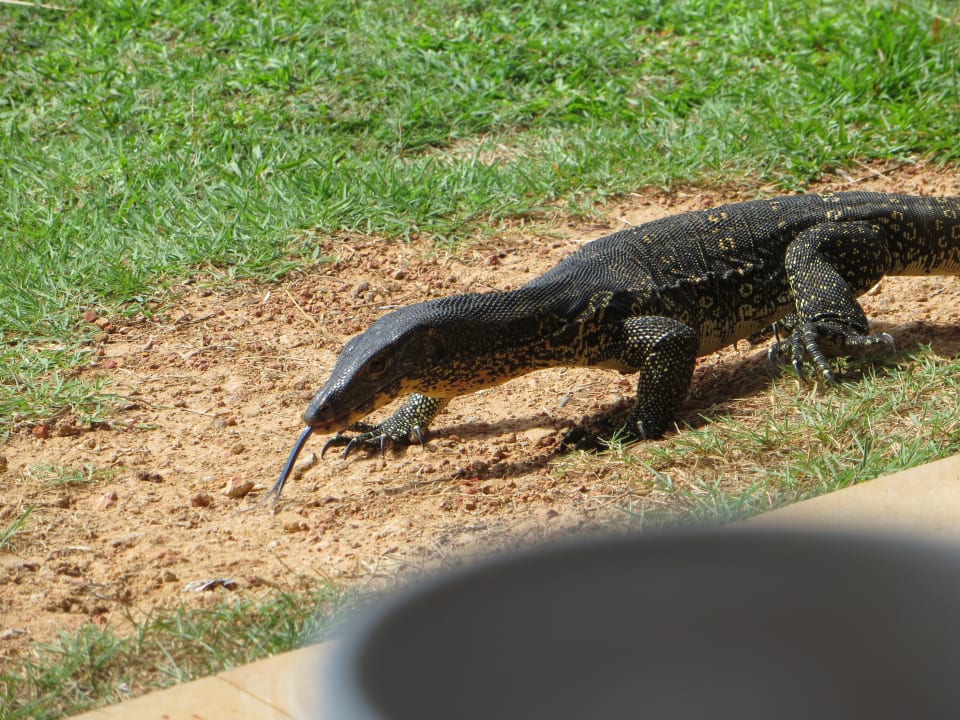 Sonstiges Hotel Koyao Island Resort