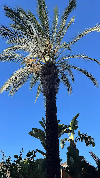 Sonstiges Dream World Palace Hotel