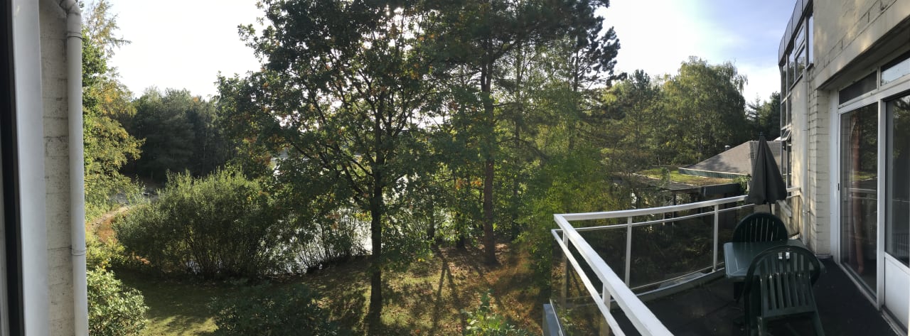 Ausblick Center Parcs De Vossemeren