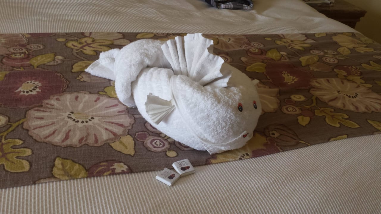 Betthupferl Catalonia Royal Tulum Beach & Spa Resort - Adults only