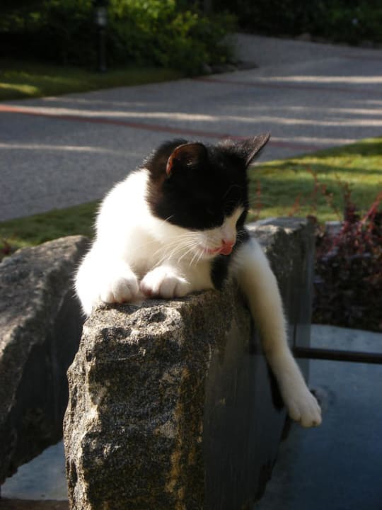 Mietz Voyage Belek Golf & Spa