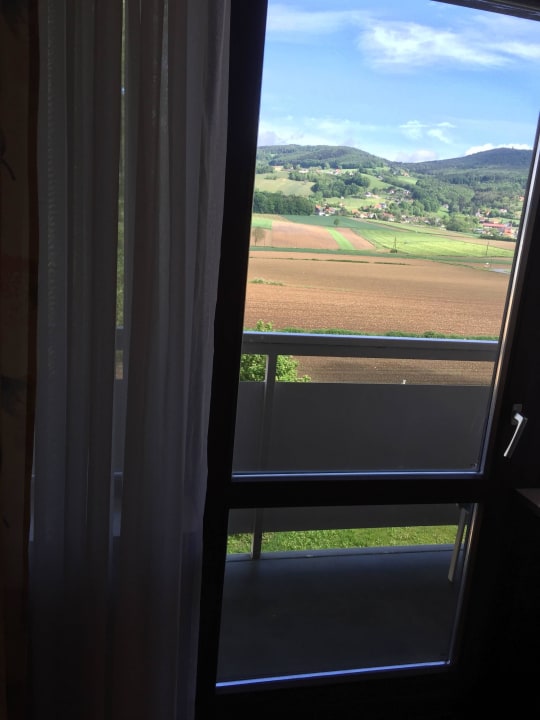 Ausblick Wilfinger Ring Bio Hotel