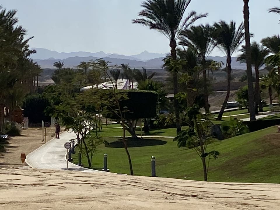 Gartenanlage Steigenberger Coraya Beach - Adults only