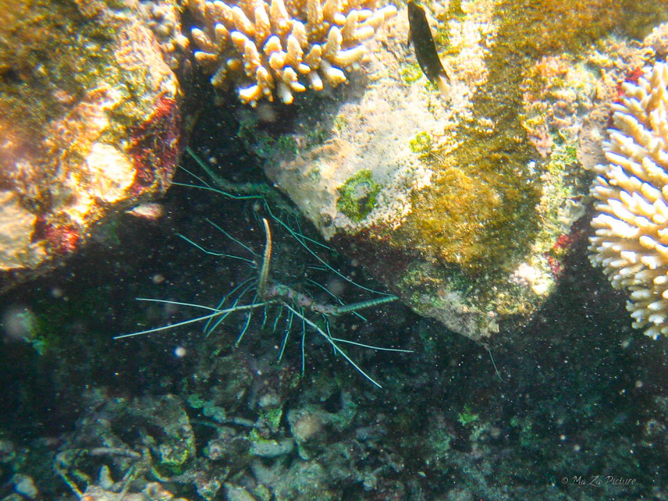 Sport & Freizeit Summer Island Maldives