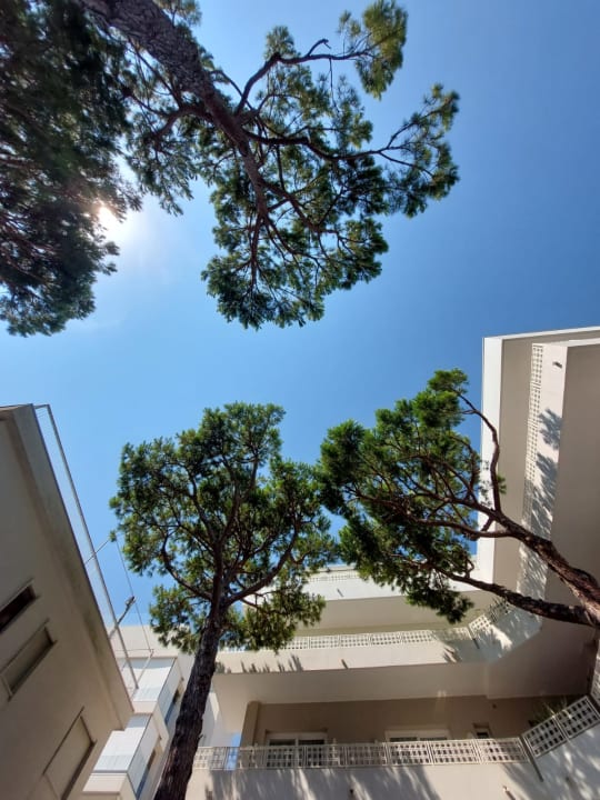 Gartenanlage Hotel Greif