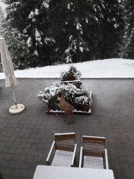 Ausblick Sunstar Hotel Arosa