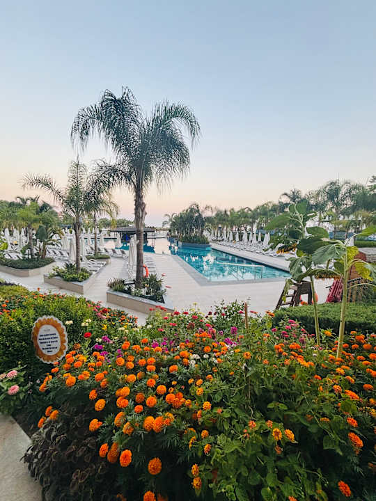 Gartenanlage Mylome Luxury Hotel & Resort